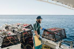 Streamlining Communication and Operations for a Fishing Co-operative